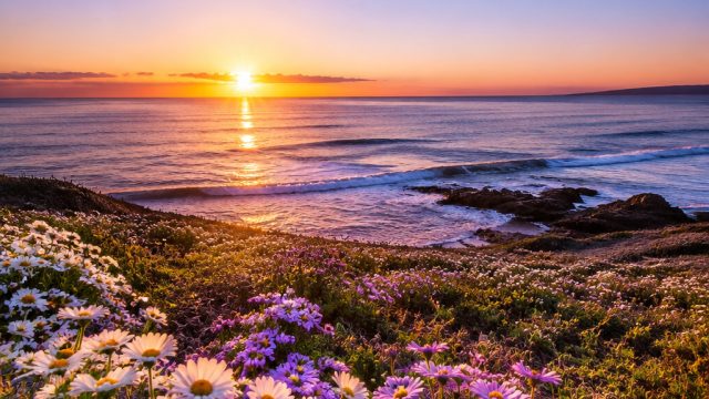 Seasonal Photography: Refreshing Your Space with Timely Wallpapers | agen bandar judi terpercaya, ha