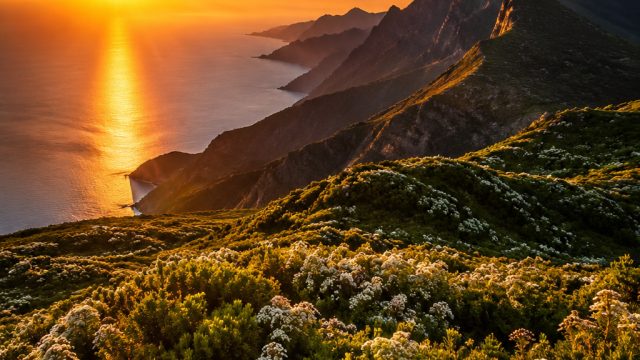 How to Choose the Perfect Wallpaper: A Photographer’s Perspective | online casino games with free sp
