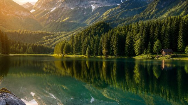 Transform Your Screen with Nature-Inspired Wallpaper Designs | game gratis 1000, asian booksi