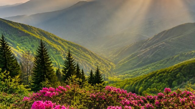Vibrant Landscapes: Elevate Your Screen with Stunning Wallpapers | judi pragmatic, lucky slot 188