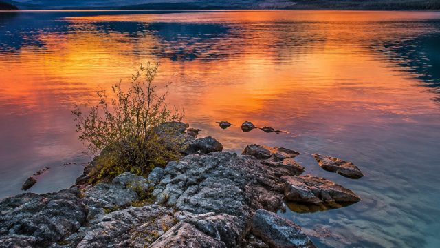 The Role of Color in Photography: Enhancing Your Visual Storytelling | slot web, demo slot cq9 good 