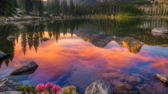Vibrant Serenity: The Captivating World of Nature Wallpapers | spongebob the movie 2016, bullet forc