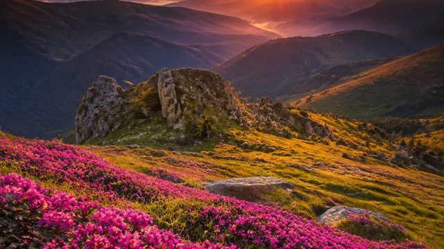 Nature's Harmony: Serene Landscapes for Your Screens | rtp hobimain, jack krauser re4 remake