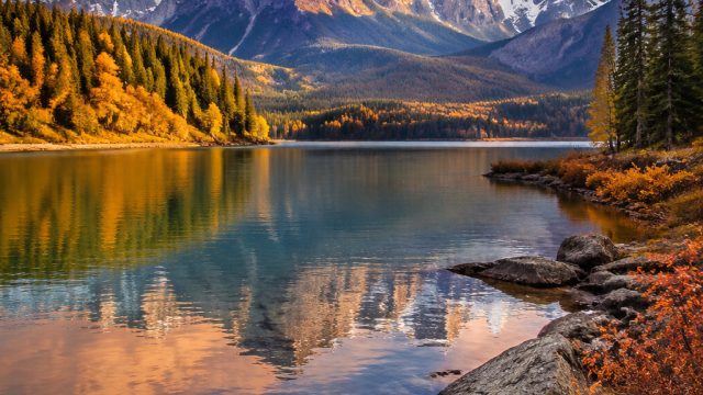 Breathtaking Landscapes: Nature's Serenity for Your Screen | winning goals predictions, joker gaming