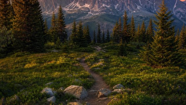 Exploring Nature Through Photography: Wallpapers that Bring the Outdoors In | download piano tiles 3