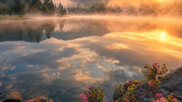 Ethereal Serenity: Wallpapers to Transform Your Screen | apg9 slot link alternatif, furlove, lele an