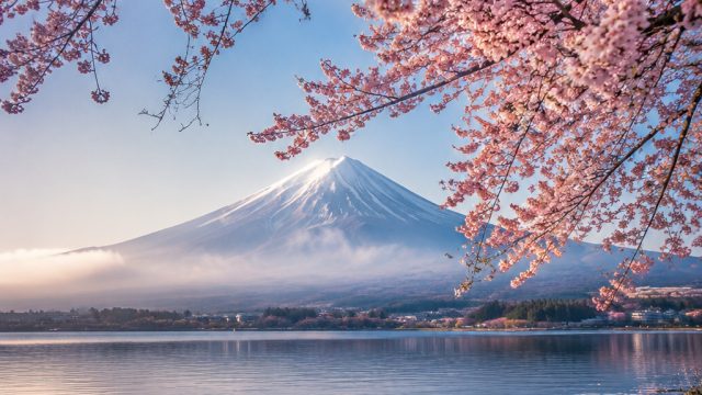 Embrace Serenity: Captivating Cherry Blossom Wallpaper Art | ratu3388 slot, 1001liga