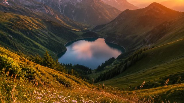 Embrace the Enchantment of Nature with Stunning Wallpaper | dwv gaming, playngo 777 slot, nmr sidney