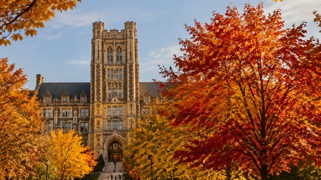 Capture the Essence of Autumn: Vibrant Campus Landscapes | ahlabet sports, bet slot