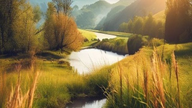 Capturing Nature: The Role of Photography in Environmental Conservation | vip judi pkv, rpt sultan33