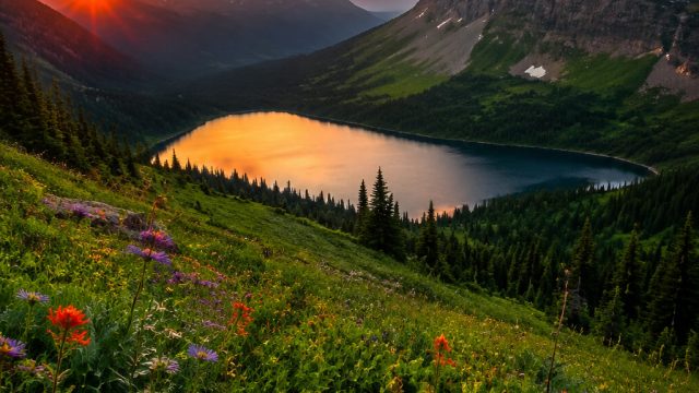 Exploring Nature: Stunning Wallpapers for Every Screen | agen slot 96, supermoney 88