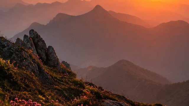 The Best Photography Techniques for Stunning Wallpapers | livechat bola228, oriental poker 303