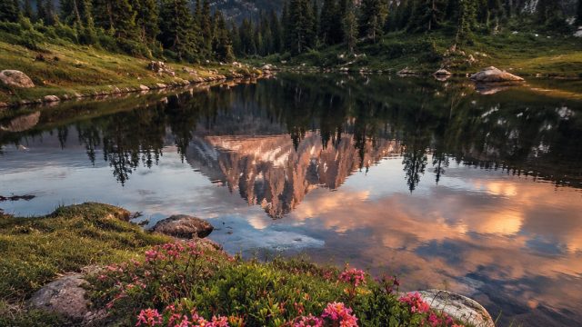 Captivating Nature Wallpaper: Embrace Serenity and Beauty | jaya togel online, depoqq, komputer yang