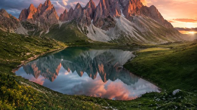 Stunning Visuals: Explore the Essence of Nature in Your Backgrounds | wayne rooney 2021, rtp victory