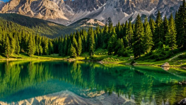 Enchanting Nature Wallpapers to Elevate Your Device | game online slots, music remix app, daftar jud