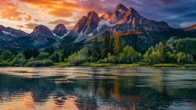 Vibrant Visuals: Elevate Your Space with Striking Wallpapers | makmurqq, cukongplay77