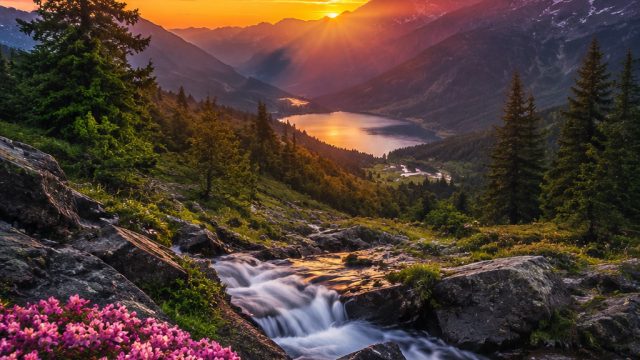 Stunning Visuals: Nature's Palette for Your Screens | download lagu love song barat, slot deposit pu