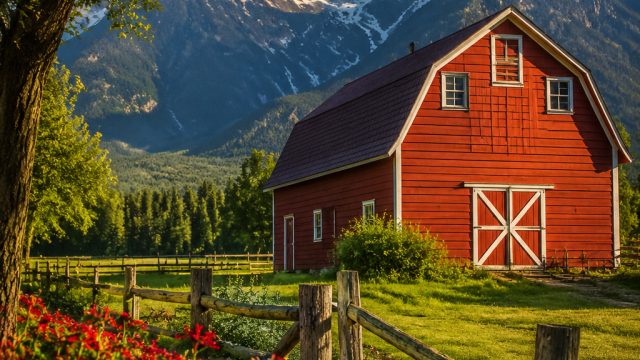 Capturing the Essence: The Vibrant Red Barn Aesthetic | hadiah hoki77, lapak 89 login, solo soccer p