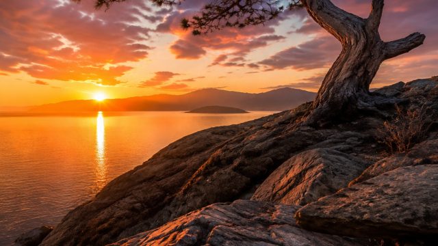 The Art of Photography: Capturing Moments That Speak Volumes | login rajabandot, galaxy bet, kode no