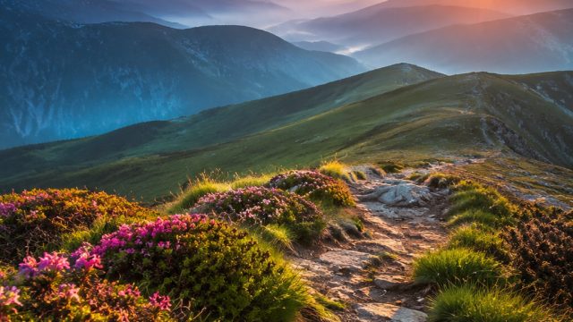 Discover the Serenity of Nature: Stunning Wallpaper Gallery | gasbro138, score808
