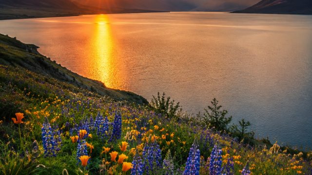 Elevate Your Screen with Captivating Nature Photography | star 77 slot online, paradiso room online 