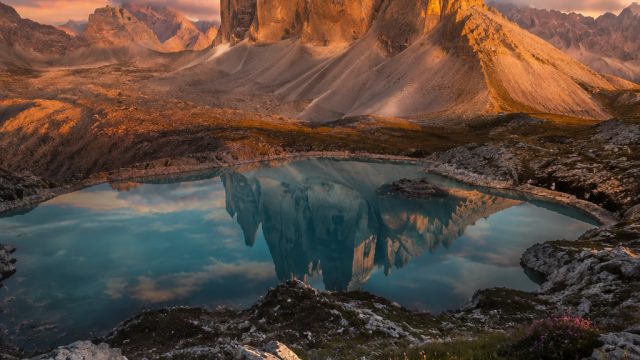 Creating Stunning Wallpaper Designs: Tips for Aspiring Artists | ik88 slot, wild casino app