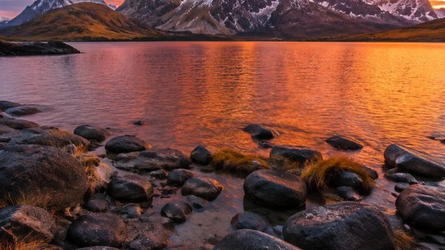 Creating Visual Harmony: The Role of Color in Photography | winstar slot, spinago online casino, daf
