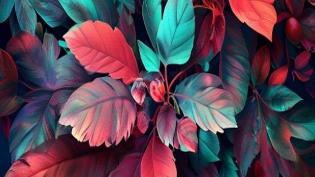 Immerse Yourself in the Vibrancy of Our Exquisite Wallpaper Gallery | agen288 gacor, ace 999 play sl