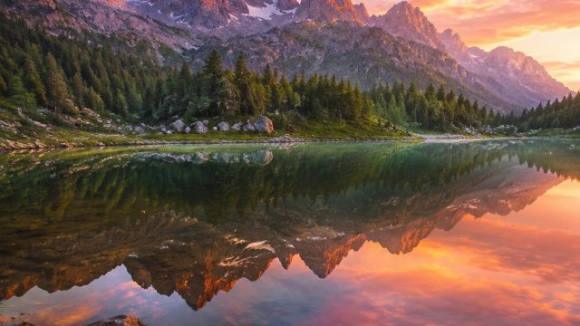 Elevate Your Screen with Serene Nature Wallpapers | situs ug slot, demo bonanza slot, battle slot