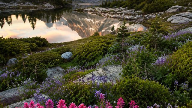 Stunning Nature Wallpapers: Vibrancy Meets Serenity in Every Pixel | geoguessr free, bestslot88
