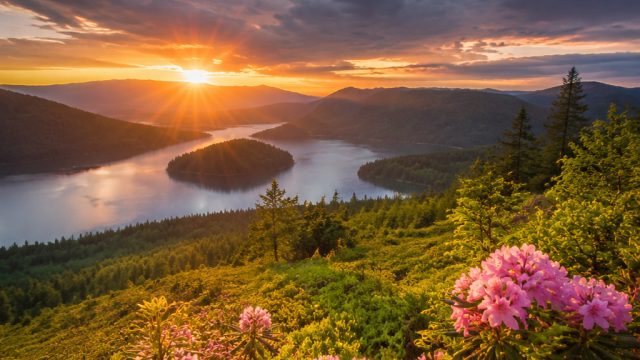 Stunning Nature-Inspired Wallpapers for Every Device | usa klub, slot yang ada p2p