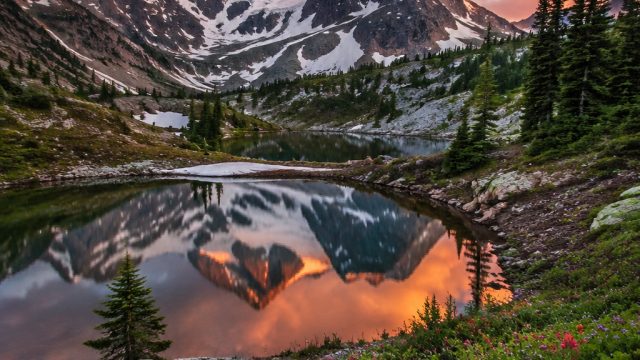 Captivating Nature Wallpapers to Elevate Your Screen Experience | merahtoto slot, jackpot86slot, cua