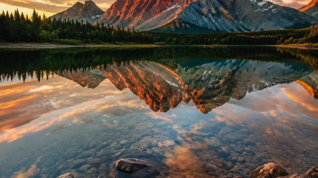 Captivating Nature: Wallpaper Inspirations for Every Screen | slot demo all game, pagoda88 slot