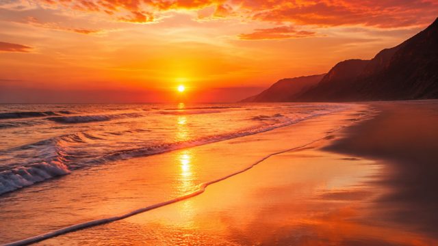 Captivating Color Palettes for Stunning Phone and Desktop Backgrounds | 100 situs mpo, agen qq terpe