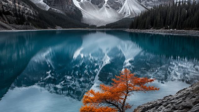 The Art of Photography: Trends in Wallpaper Design | gamer box, visa4d