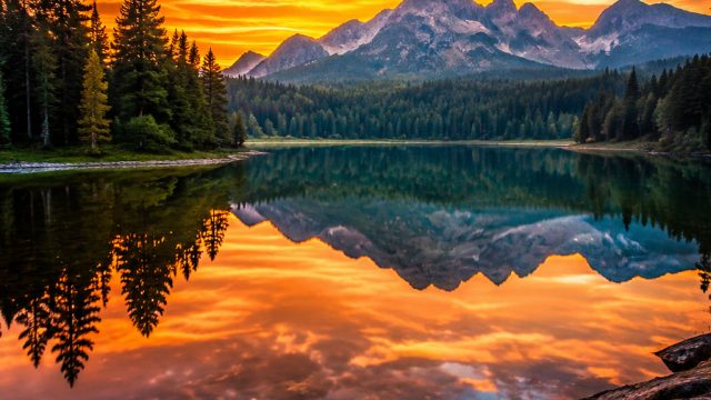 Elevate Your Screen with Timeless Nature Wallpaper Themes | judiqqdewa, slot betdeal