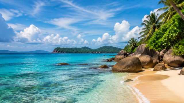 Vibrant Summer Vibes: Captivating Wallpapers for All Screens | ngolo kante, bandarqq com