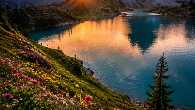 Captivating Nature Themes for Your Screens: Vibrant Wallpaper Selections | free zombie games, cara m