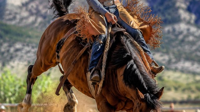 Captivating Rodeo Scenes: A Visual Journey | madison beer dangerous lyrics, playboy slot