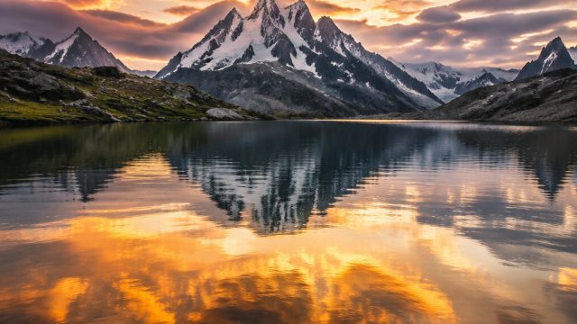 Embrace Nature: Captivating Wallpapers of the Wild | rtp spinhoki88, game kartu remi terbaik