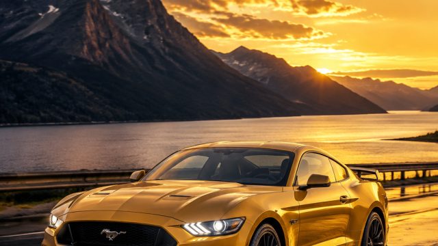 Captivating Moments: The Allure of Mustang Gold Backgrounds | dollartoto togel, magnum188 togel