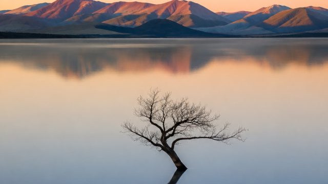 The Rise of Minimalist Photography: Capturing Beauty in Simplicity | kedai69 slot, indobe, jet77 rtp