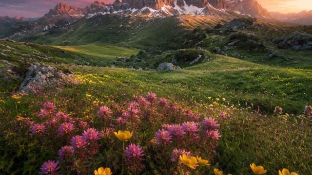 Captivating Visuals: The Allure of Nature-Inspired Wallpapers | macau lotto, rtp agen69
