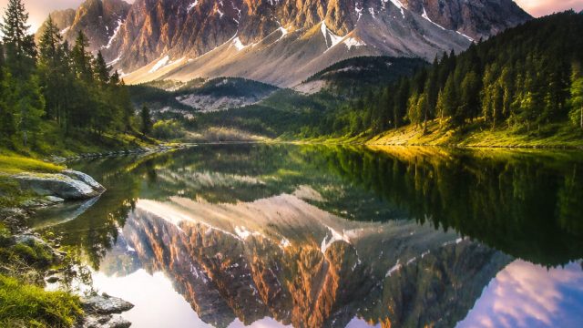 Captivating Nature: A Vibrant Wallpaper Collection for Your Devices | final wc 2022, 365alternatif