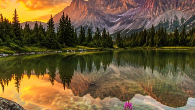 Discover the Serene Beauty of Ozzo: A Perfect Wallpaper Choice | jual remote tv lg, shinobi warfare,