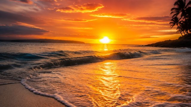 Embrace the Heat: Vibrant Wallpaper Themes for Your Screens | slot pragmatic play gratis, online spo