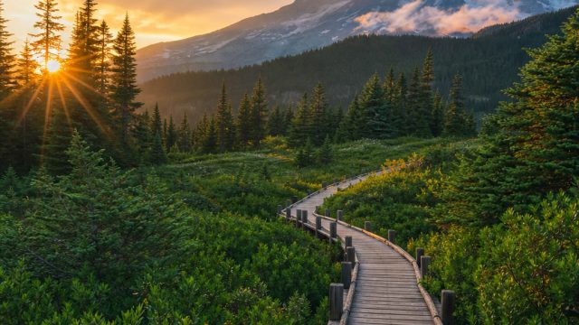 Transform Your Screen with Inspirational Nature Wallpapers | rajajoker88 slot, slot toto888, dewagg 