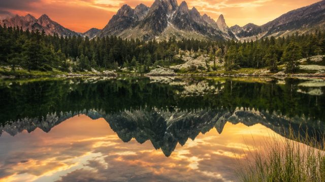 Embrace Serenity: Nature's Beauty in Wallpaper Design | free casino slot games no download, bosswin1