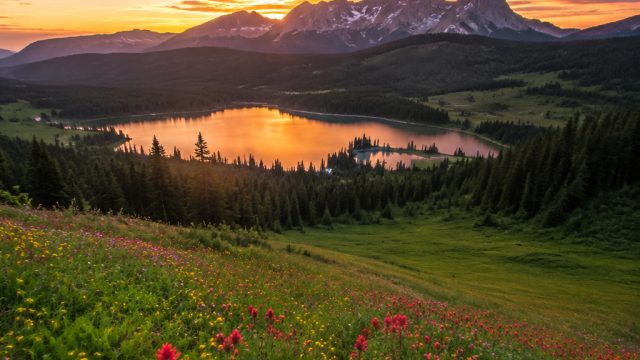Immerse Yourself in Nature's Palette: Vibrant Wallpaper Collection | jaya77 slot login, m88 casino, 