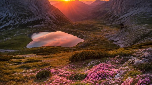 Captivating Imagery: Explore Our Luminous Wallpaper Gallery | bo slot bonanza, betting world sa, sup